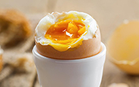 Soft-boiled egg · BIO